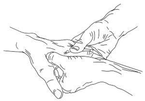 Praxis für Physiotherapie Bijan Zahraei